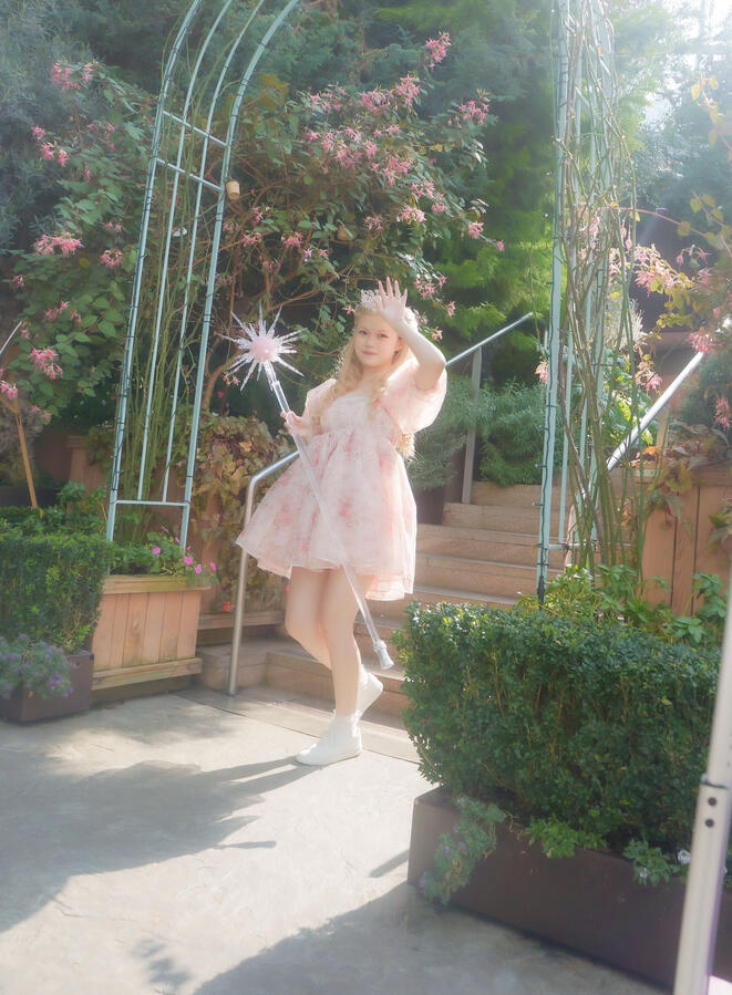 Photography (Cosplay, Landscape, etc.)